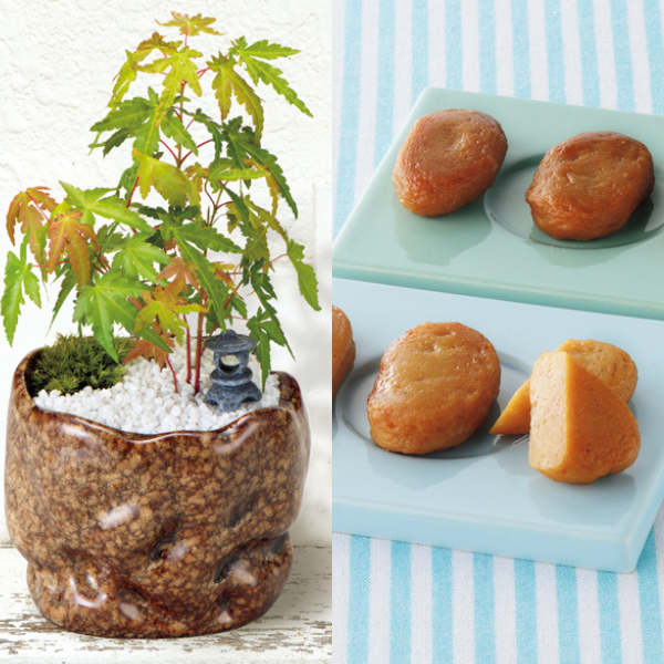 新月バラ園 親父の手（SUSTEE付）＋鹿児島小田口屋 さつま揚げ【父の日】 商品サムネイル